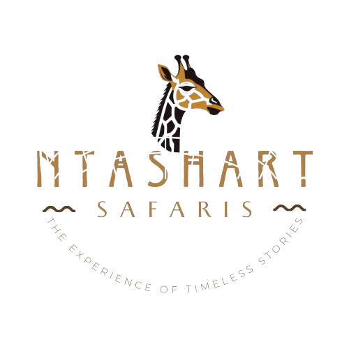 Ntashrat Safaris Logo